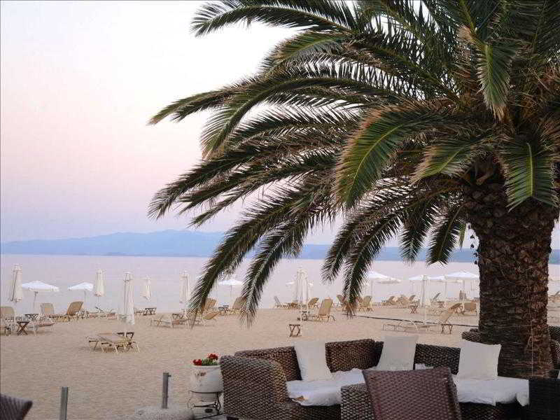 ホテル Assa Maris Chalkidiki エクステリア 写真